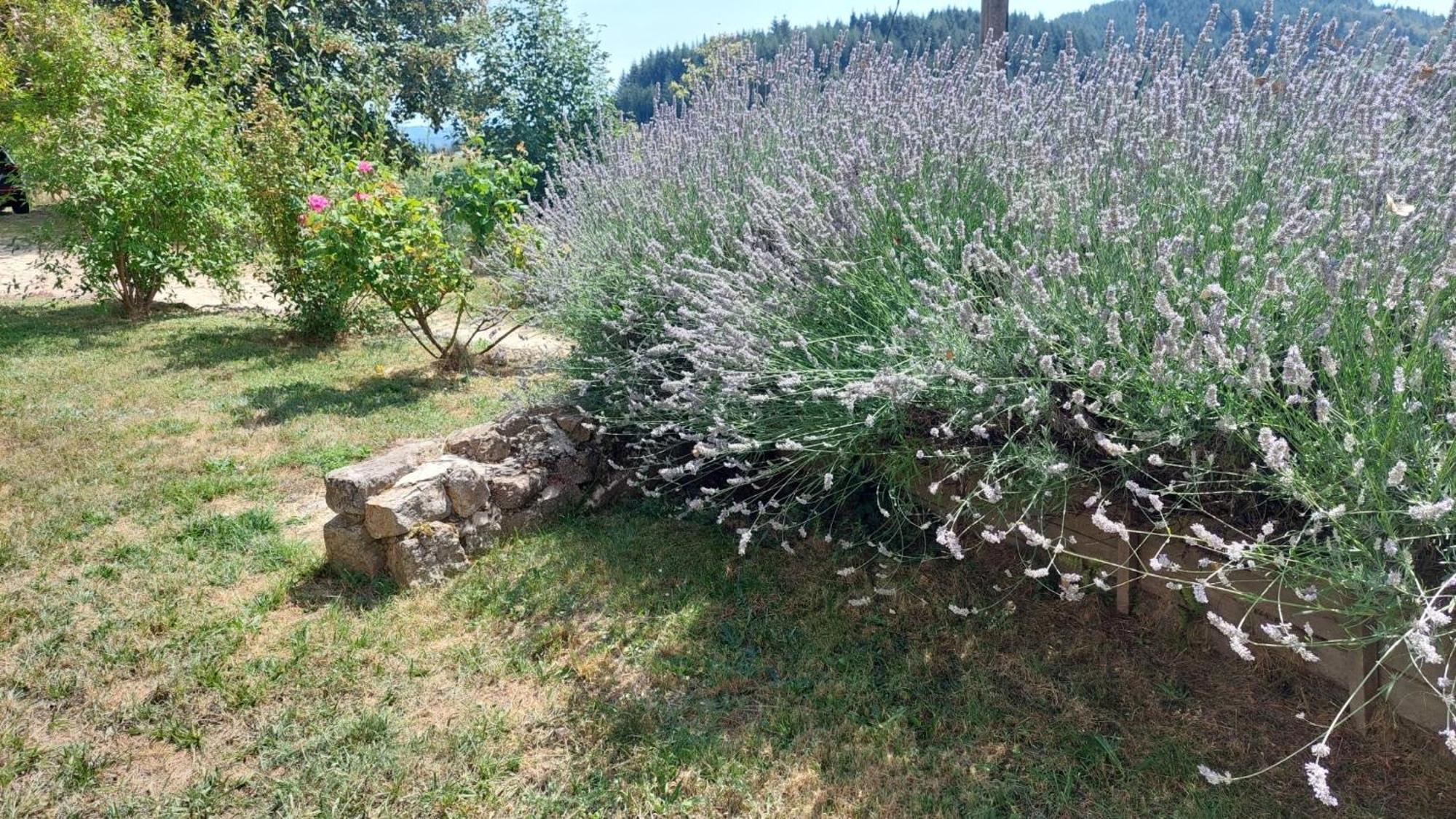 Grange De Sagne Maison Et Table D Hotes Avec Diner Sur Reservation Saint-Jean-Roure
